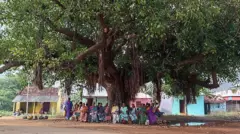 வாச்சாத்தி