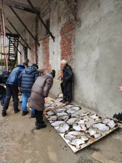 Уничтоженные пожаром в Сухуми работы художника Шервашидзе-Чачба  