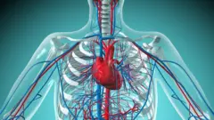 వయోభారం 