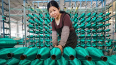 ઈરાન યુદ્ધ : ભારતમાં મોંઘવારી અને મુશ્કેલીઓ વધી પણ ચીનના અર્થતંત્રમાં કેમ ઉછાળો નોંધાયો?  