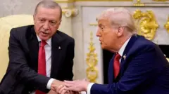 دونالد ترامپ ورجب طیب اردوغان در حال دست دادن