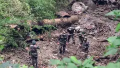 शिमला