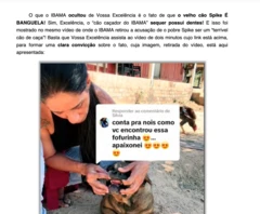 Imagem de trecho de decisão judicial, que mostra cachorro sem os dentes