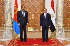ፕረዚደንት ኢሳይያስ ኣፈወርቅን ዓብድ ፈታሕ ኣል ሲስን [9 ጥሪ 2018 ኣብ ካይሮ]
