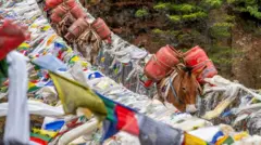 नाम्चेमा ग्यास सिलिन्डर बोक्दै खच्चडहरू