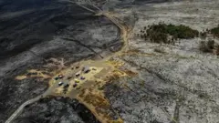 Foto udara kondisi lahan pascakebakaran di Pos Watu Gede, kawasan Gunung Bromo, Probolinggo, Jawa Timur, Jumat (15/9/2023). 