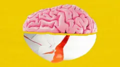 Мозок і яйце