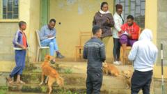 በማዕከላዊ ኢትዮጵያ፣ ሆሳዕና ከተማ 400 ገደማ ውሾች ለምን እና እንዴት ተገደሉ?