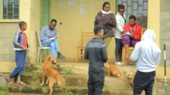 በሆሳዕና ከተማ በተለያዩ ጊዜያት የውሾች ክትባት መርሃ ግብሮች ተካሂደዋል