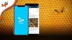 تطبيق تونسي يساعد مربي النحل على مراقبة وحماية الخلايا من الأخطار