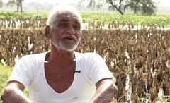 आनंदराव राखाडे