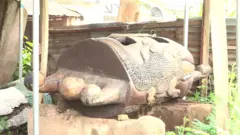 Ikoro bụ akụrụngwa egwu e ji akpọku ọha obodo