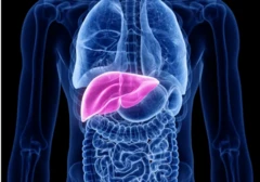 மெத்தனால் 