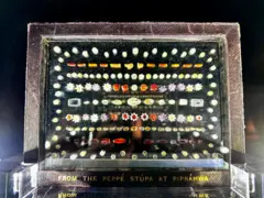 ဗုဒ္ဓဘုရားရဲ့ ရာနဲ့ချီတဲ့ ဓာတ်တော်မွေတော်တွေကို လေလံတင် ရောင်းချမှုကို အိန္ဒိယအစိုးရက ကန့်ကွက်မှုကြောင့် ရွှေ့ဆိုင်း