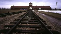Linhas férreas que levavam ao campo de concentração de Auschwitz-Birkenau, em Oświęcim, na Polônia, filmadas em 1º de janeiro de 2004. Ao fundo, no fim da linha férrea, está a entrada do campo: um edifício de tijolos com telhado inclinado e uma torre sobre os trilhos.