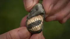 శిలాజాలు, చరిత్ర