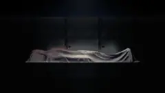Meyd 