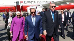 Erdoğan ve Sisi, güneş gözlüklü geride pembe padesülü bir kadın görünüyor. Liderlerin ortasından Emin Erdoğan'ın başı seçilebiliyor. Onları protokol izliyor. Tümü kırmızı halıda, geride Türkiye Cumhuriyeti yazılı bir jet var.