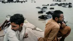 سیلاب، جانور