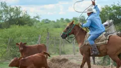 Un ganadero pastorea ganado en un rancho cerca de Asunción, Paraguay,