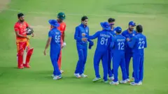 Cricket 