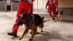 سگ‌های زنده‌یاب در ایران