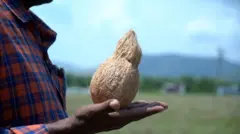 నీటి జాడ