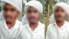 लारेब हाशमी