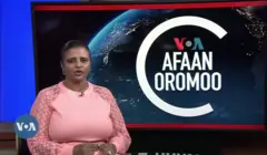 Sagantaa VOA Afaan Oromoo