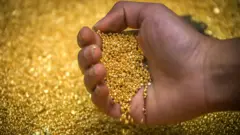 केन्या के एक गांव में सोना खोजने के लिए बड़ी तादाद में लोग जुट रहे हैं