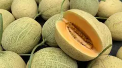 Le melon a une chair sucrée, fondante et parfumée