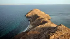 ዳህላክ