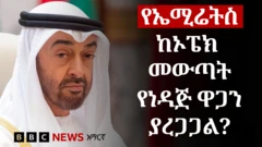 የኤምሬትስ መሪ ቢን ዛይድ