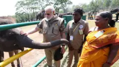 ஆஸ்கர்