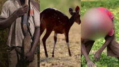 E think say na antelope e dey see as e fire di gun