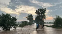 پنجاب
