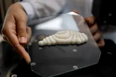 माछाको फिलिट 