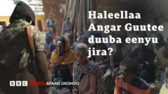 Waa'ee haleellaa Angar Guutee