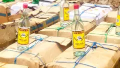 Des marchandises de contrebande saisies en Somalie