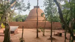 இலங்கை இந்து-பௌத்தர் பிரச்னை