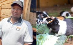 'Uzise imbeba ntitwakiranuka' – Umworozi wa Sumbirigi mu Rwanda