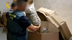 Baala sammuu namaa hadoochu to'atame