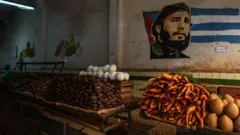 Mercado agropecuário em Cuba, com uma pintura de Fidel Castro sobre uma bandeira cubana na parede