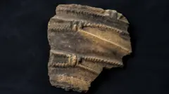 Um fragmento de uma panela no meio da imagem sobre um fundo preto.
Era originalmente marrom claro, mas ficou enegrecido. Na borda, há uma fileira de entalhes ao redor da panela como decoração. Abaixo disso, descendo em direção ao que teria sido a base, há duas fileiras de outras indentações. Eles foram feitos para parecerem cordas e se encontrarem em um ponto mais estreito marcado com uma linha vertical. O padrão da corda é repetido mais abaixo.