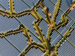 Uma vista aérea mostra fileiras de painéis solares dispostos em padrões geométricos, atravessados por caminhos ou canais estreitos. As formas repetidas criam uma paisagem texturizada, semelhante a uma grade.