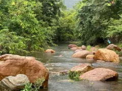 குத்திரபாஞ்சான் அருவி