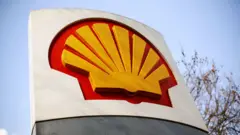 shell 