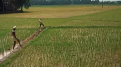 காவிரி நீர் தமிழகத்துக்கு வரவே வராதா? தமிழ்நாட்டின் முன் இருக்கும் வாய்ப்புகள் என்ன? 