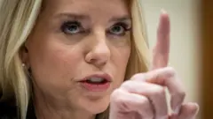 पाम बोंडी