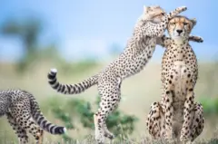 ‘ብስም ጎይታ. . . ጻእ ርዅስ መንፈስ!’